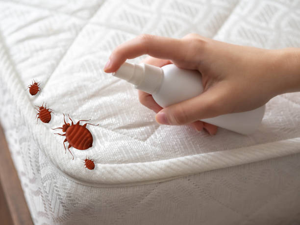 Best Residential Pest Control  in Birdsboro, PA